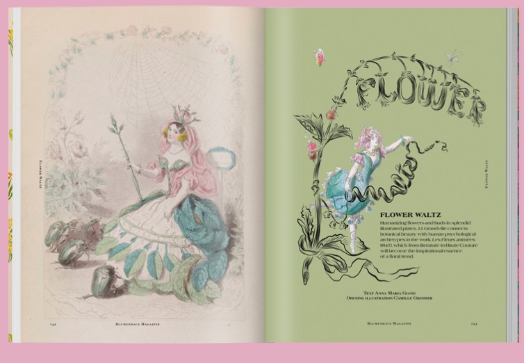Blumenhaus #6 – Iconic magazines
