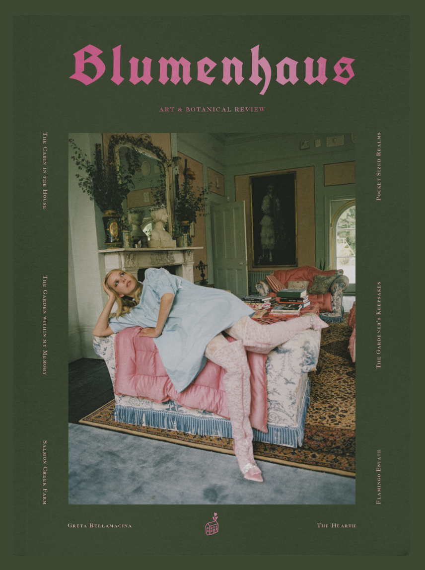 Blumenhaus Issue #7